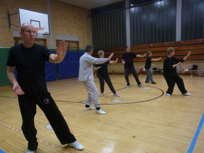 Taijiquan Formentraining